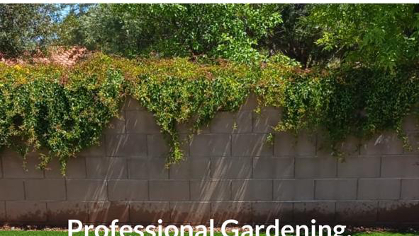 Arizona Landscaping 33 project